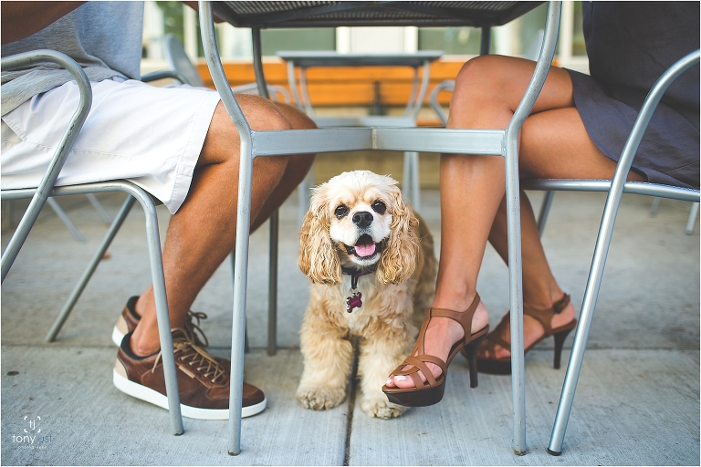 TonyJustPhotography-2016_0368