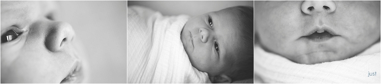 TonyJustPhotography-2016_0476