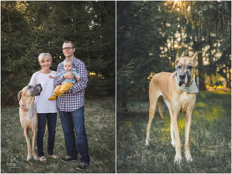 TonyJustPhotography-2017_0040